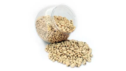 White Lobia 500g