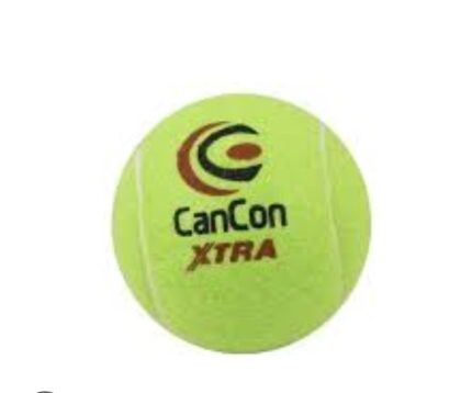 Cricket Ball Cancon 1pc