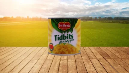 DEL MONTE TIDBITS PINEAPPLE 432GM