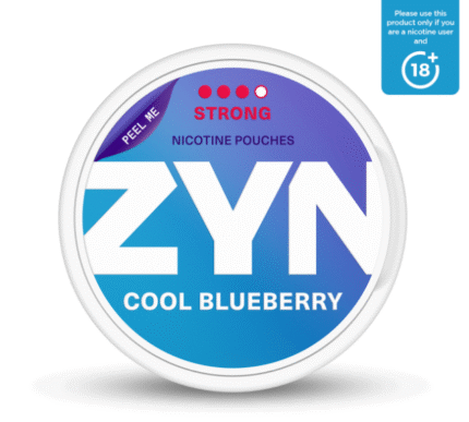 ZYN Cool BlueBerry 11mg
