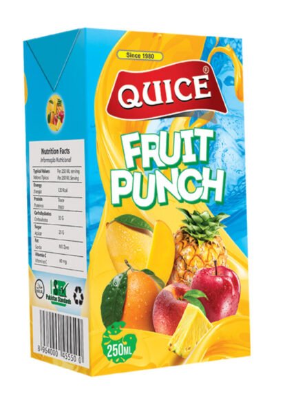 Quice Fruit Punch Drink Juice 250ml